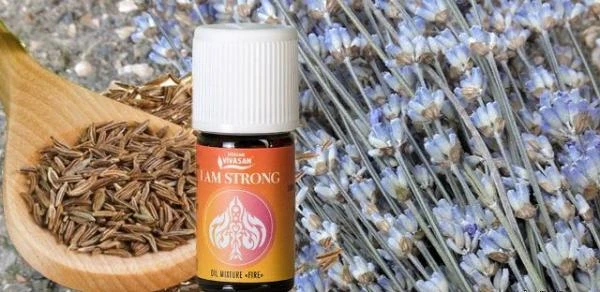 Композиция 100% эф.масел «Я полон сил» (I am strong) Vivasan