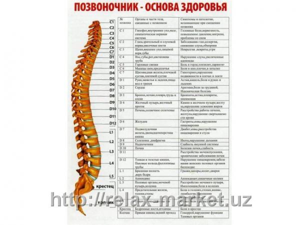 Tana massaj qurilmasi 10 tasi 1 tada