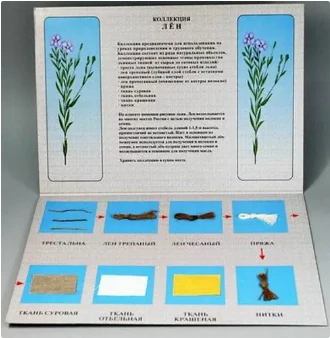 Kolleksiya - Shelk dlya nachalnoy shkoli