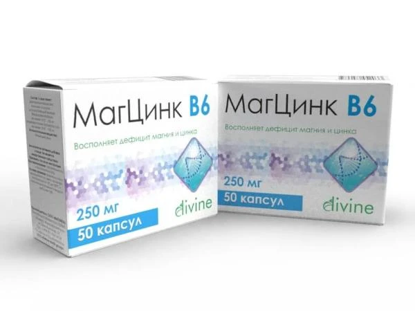 MAGSINK V6 kapsulalar 250mg