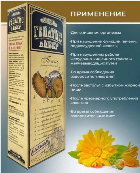 Бальзам Гепатис Либер для лечения печени