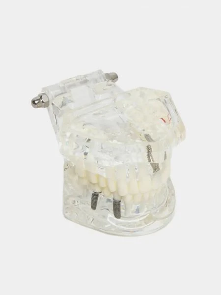 Mulyaj All in one model