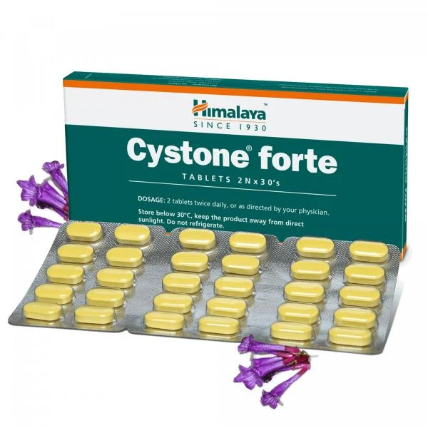 Cystone forte, 60 g, 60 dona.