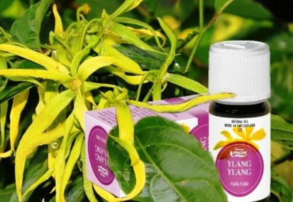 Эфирное масло Иланг-иланга коморского Vivasan, Швейцария