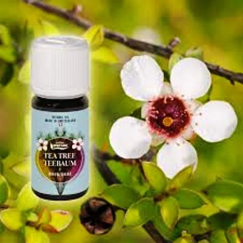 Эфирное масло Чайного дерева Vivasan, Швейцария