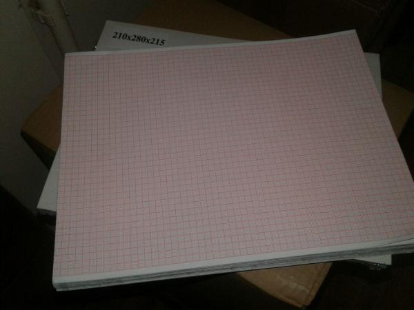 Lenta dlya EKG  (vse razmeri)