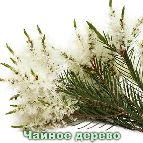 Крем Чайное дерево, Vivasan, Швейцария