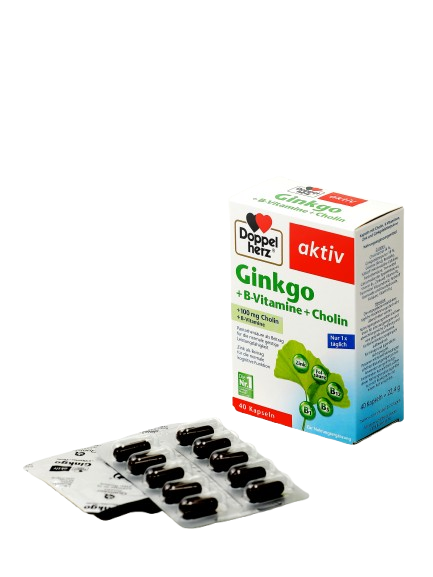 DOPPELGERS AKTIV GINKO+VITAMINI GRUPPI V+XOLIN tabletkalari N40