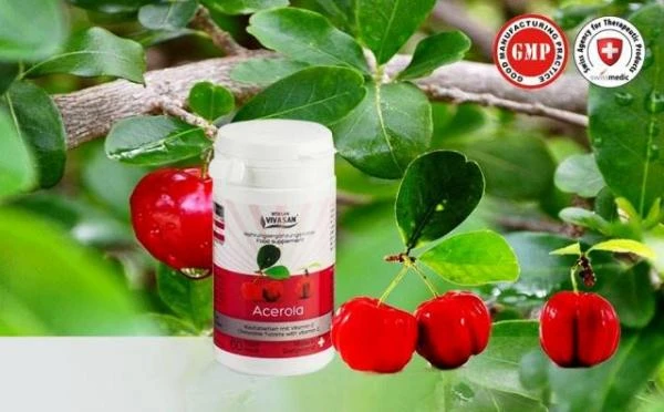 Aserola (tropicheskaya vishnya s vitaminom S) Vivasan, Shveysariya