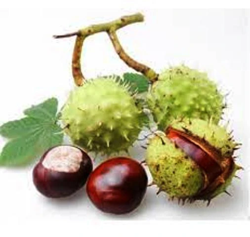 Конский каштан и виноградные листья Vivasan, Швейцария