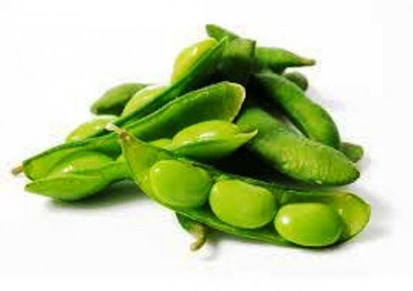 Фито-40 (изофлавоны сои в капсулах) Vivasan, Швейцария