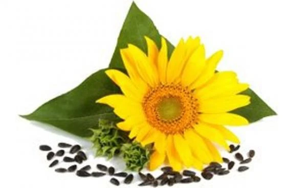 Крем Ночной «Восстанавливающий» Swiss Nahrin, Швейцария