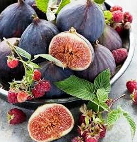 Напиток Стимусан Vivasan, Швейцария