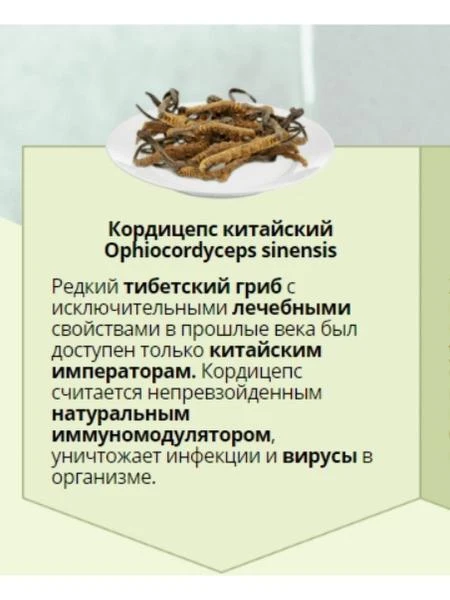 Препарат Король Кордицепс