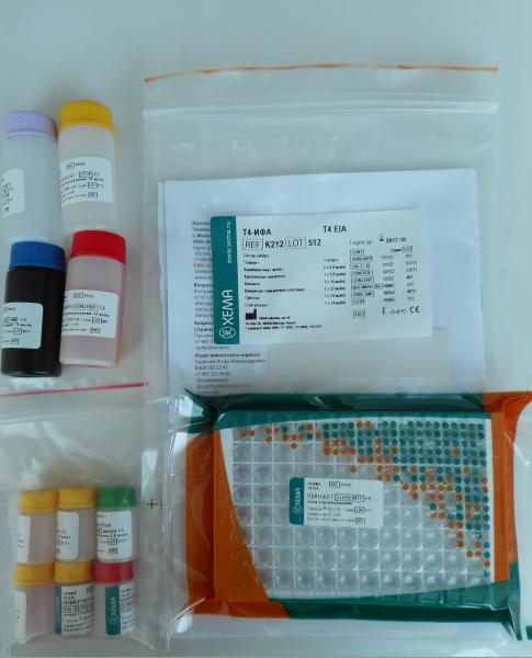 T4-IFA (XEMA/Rossiya)