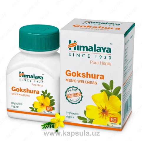 Badi Himalaya Gokshura