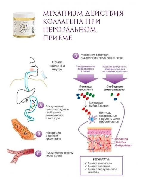 Collagen tirik to'g'ri + s vitamini, GMO yo'q
