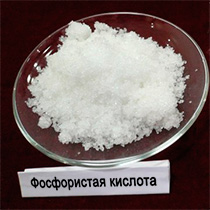 Фосфористая кислота