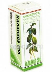 KALANXOE SOK eritma 20ml