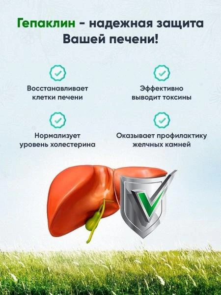 Jigarni tozalash va tiklash uchun Gepaklin