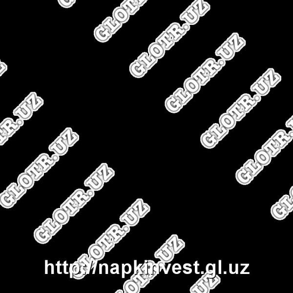 Salfetki SALMAH (23x24) 40 dona