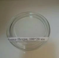 Chashka mikrobiologicheskaya