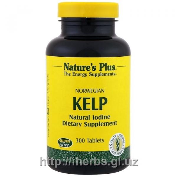 Йод из Америки : Норвежские бурые водоросли