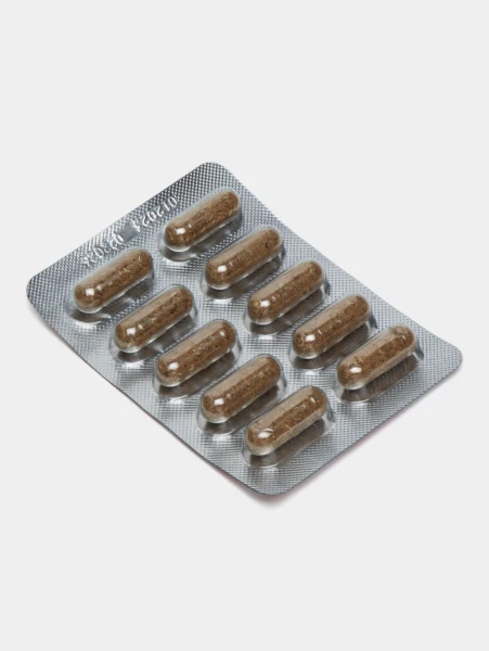 Antiparazitik kapsulalar "Antigelmint" - tananing tabiiy himoyasi