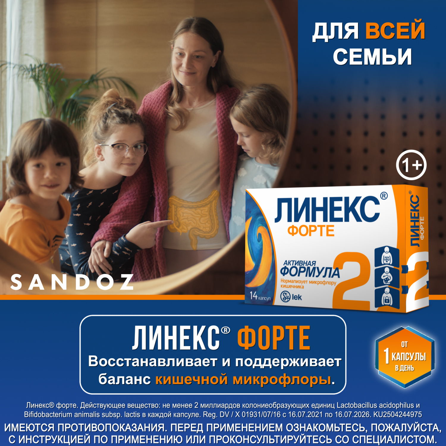 LINEKS FORTE kapsulalar  N14