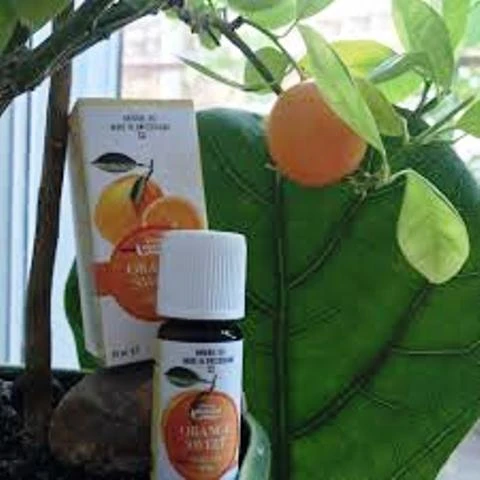 Efirnoe maslo Apelsina brazilskogo Vivasan, Shveysariya