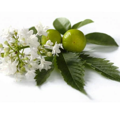 Efirnoe maslo Pachuli singapurskogo Vivasan, Shveysariya