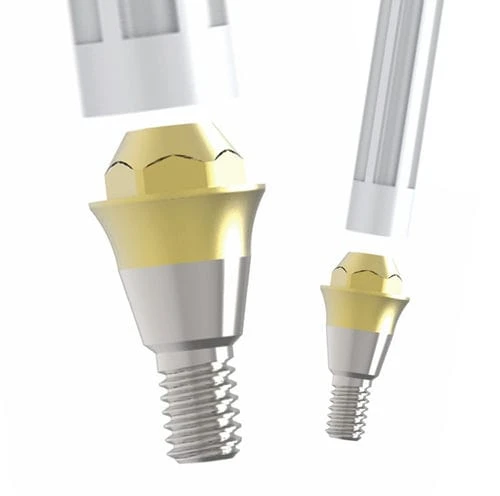 Pryamoy abatment MULTI S