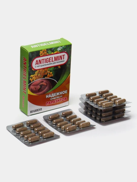 Antiparazitik kapsulalar "Antigelmint" - tananing tabiiy himoyasi