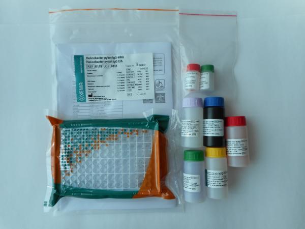 Xelikobakter pilori IgG-IFA (XEMA/Rossiya)