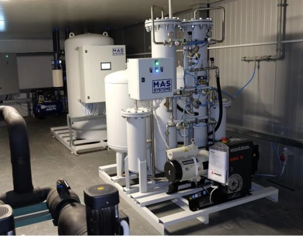 Соль мертвого моря