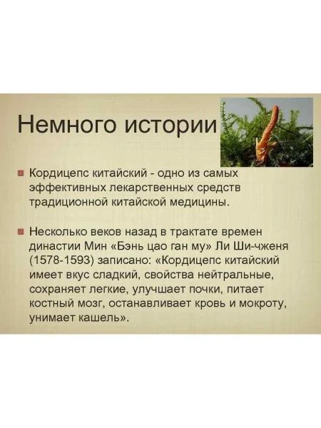 Препарат Король Кордицепс