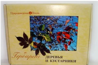 Гербарий - деревья и кустарники (20 видов)