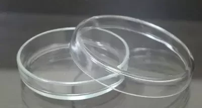 Mikrobiologik idish (Petri) 100 x 20 mm