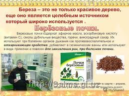 Эфирное масло «Березовый деготь»