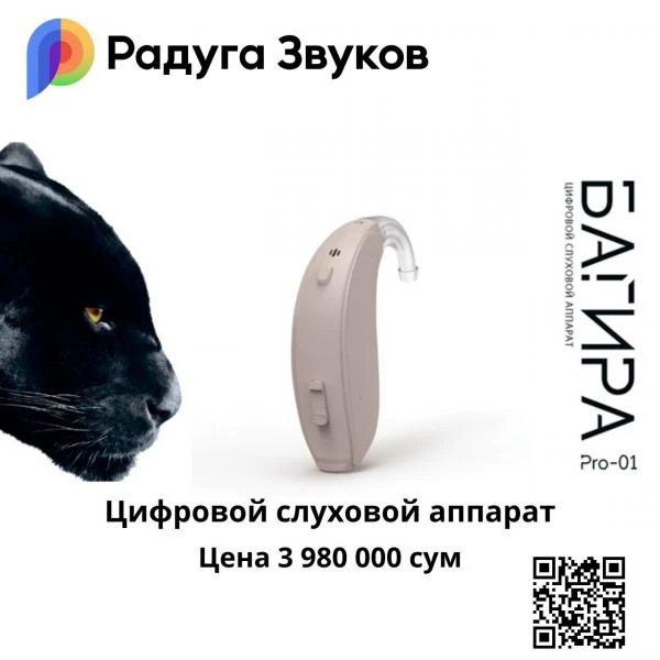 Bagira Pro-01 raqamli dasturlashtiriladigan eshitish apparati