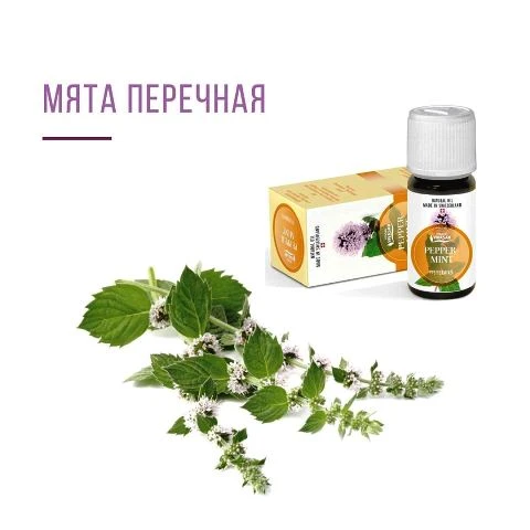 Эфирное масло Мяты перечной, Vivasan, Швейцария