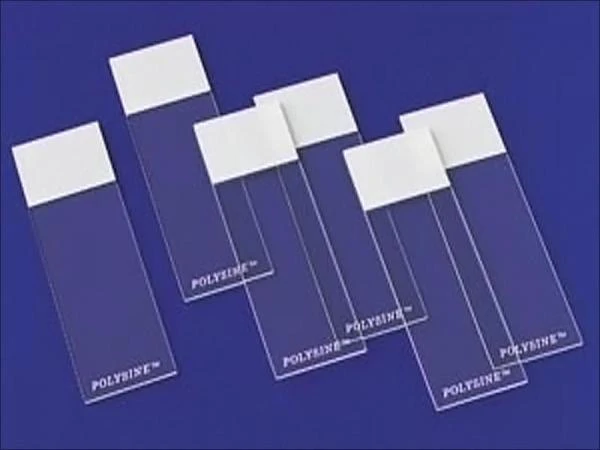 Predmetnie steklo (76mm x 25mm x1,2mm)