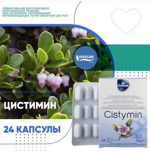 Цистимин для мочевыделительной системы Vivasan, Швейцария