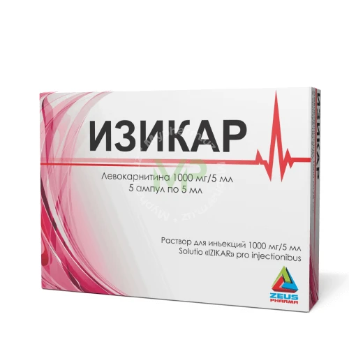 ИЗИКАР раствор для инъекций 5мл 1000мг/5мл N5
