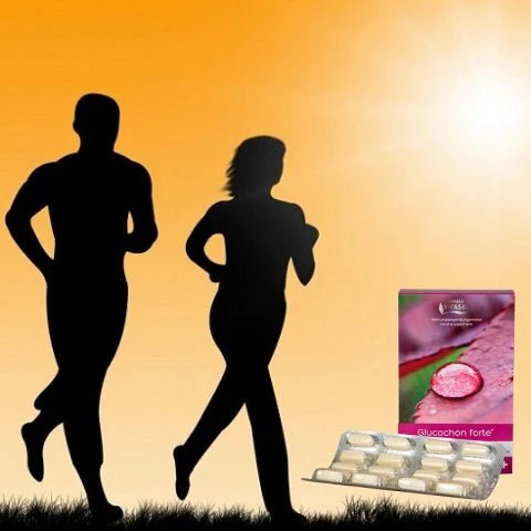 Glyukohon forte Vivasan, Shveytsariya bo'g'imlarini tiklash uchun