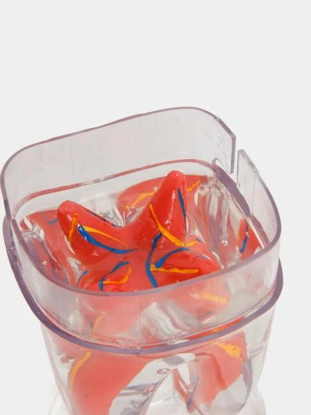 Муляж Artificial tooth with transparent wax model