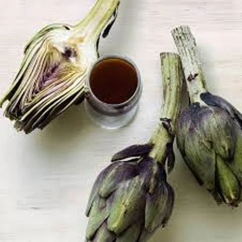 Artishok Gorkiy Swiss Nahrin, Shveysariya