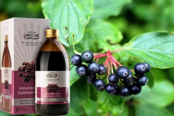 Напиток Бузина черная Vivasan, Вивасан, Швейцария