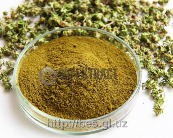 Suxoy ekstrakt travi yakorsev