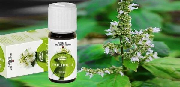 Efirnoe maslo Pachuli singapurskogo Vivasan, Shveysariya